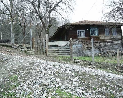 Tam boy resmi görebilmek için tıklayın