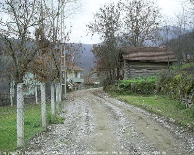 Tam boy resmi görebilmek için tıklayın